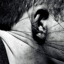 the-thud-of-silence avatar