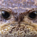 the-tiniest-man avatar