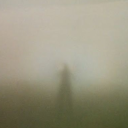 the-token-swamp-cryptid avatar