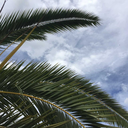 the-touch-ofeternity avatar