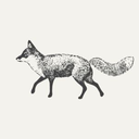 the-trash-fox avatar