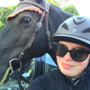 the-trifecta-horses avatar