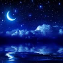 the-twilight-lingers avatar