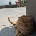 the-university avatar