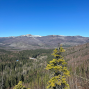 the-untamed-soul avatar