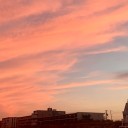 the-visible-lesbian avatar