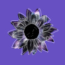 the-void-and-the-valley avatar