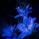 the-vortex-of-rosetellia avatar