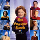 the-voyager-bunch avatar