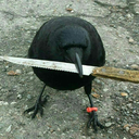 the-wall-of-truth avatar