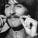 the-walrus-was-really-paul avatar