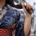 the-wanderingcatsblog avatar