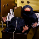 the-wanted-niffler avatar