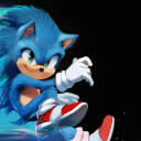 the-wave-and-the-wind avatar