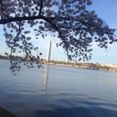 the-west-wind avatar