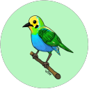 the-who-what-when-why-where-wolf avatar