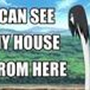 the-wig-is-a-metaphor avatar