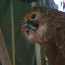 the-wild-and-sexy-galaxy avatar