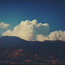 the-wild-wind-knows avatar