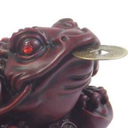 the-wise-toad avatar