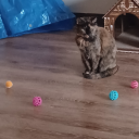 the-witch-down-the-hall avatar