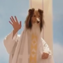 the-witch-of-the-wandering-ways avatar