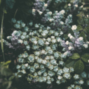 the-witchy-librarian avatar