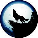 the-wolf-lady avatar