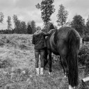 the-wolves-may-howl avatar