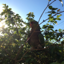 the-world-i-want-to-live avatar