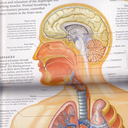 the-world-is-awsome avatar