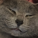 the-world-is-wide-and-here-i-am avatar