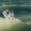 the-world-of-silence avatar