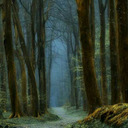 the-world-viewfinder avatar