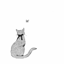 the-worldareamazingeemia avatar