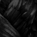 the-writer4401 avatar