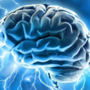 the-writers-brain avatar