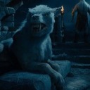 the-writing-warg avatar