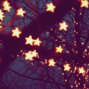 the-xenogender-survey avatar