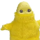 the-yellow-boohbah avatar