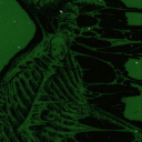 the-zeta-session avatar