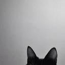 the-zodiac-god avatar