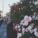 the20somethingsdiary avatar