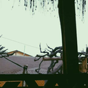 thea-sweet-sorrow avatar