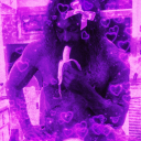 theabhartachsbride avatar