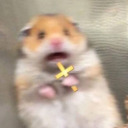 theaceupyourslave avatar