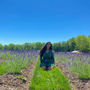 theacousticthings avatar