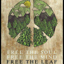 theactorstonerguy avatar