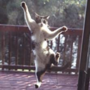 theactualrealniccage avatar