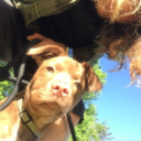 theacursedinc avatar